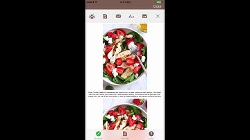 PrintFriendly & PDF iPhone & iPad Safari Extension