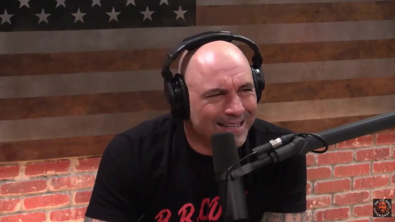 Joe Rogan talking about monkeys for 14 minutes straight