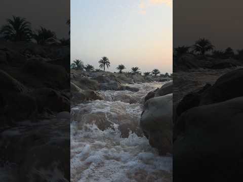 Terikarak Kpk Pakistan Nature Shots 