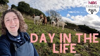 A DAY IN THE LIFE WITH THE FARMERS WIFE