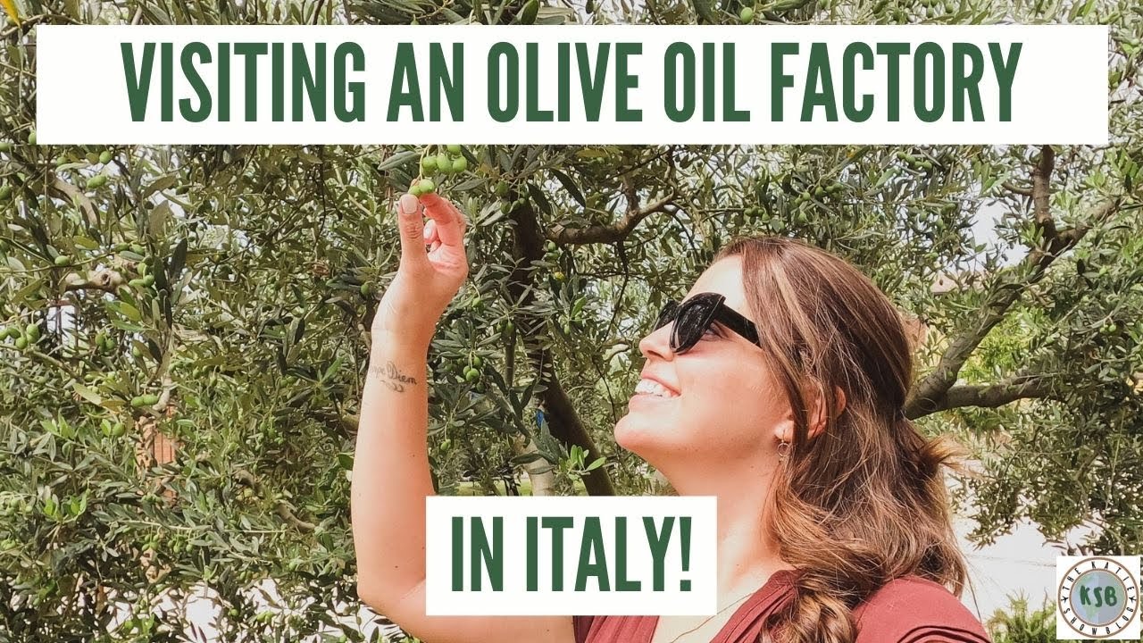 Visit An Olive Oil Factory In Verona, Italy YouTube
