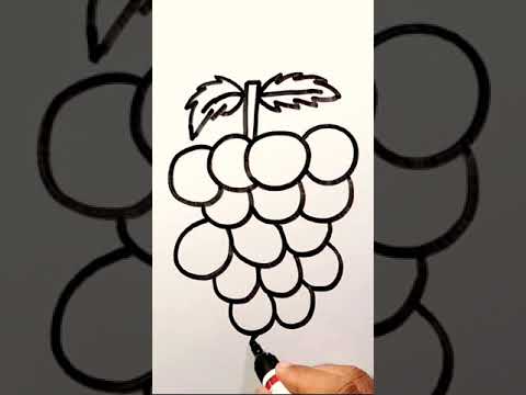 Small bunch grapes sketch Royalty Free Vector Image