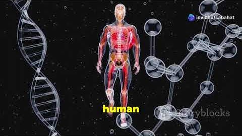 Atoms The Building Blocks of Everything