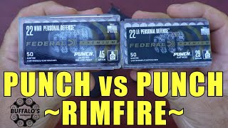 22LR vs 22 MAGNUM self defense ammo ~ PUNCH