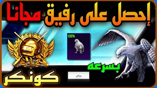 اوووله  احصل على رفيق ( الصقر )  مجانا ؟!! + بسرعه خذلك كونكر قبل الانتهاء  PUBGMOBILE 