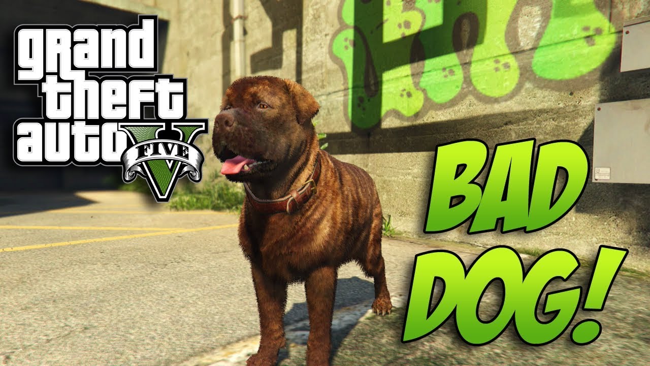 Grand Theft Auto V Gameplay DOG WASTED ME. YouTube