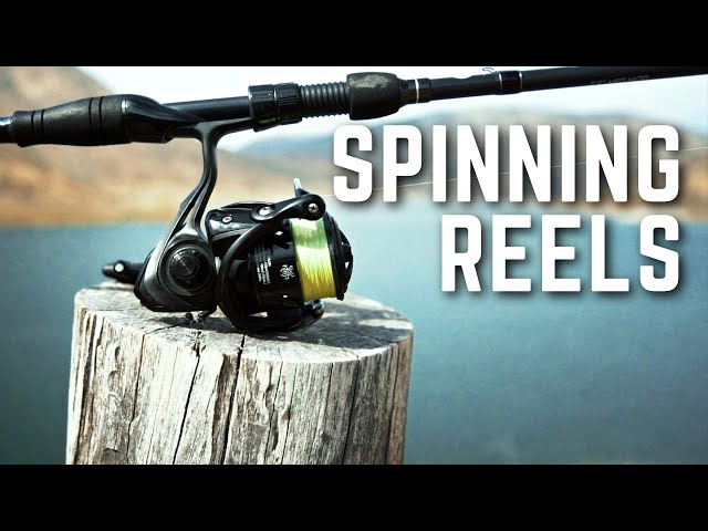 best summer walleye lures for shore fishing 5 Lures for Big Water Summer Walleyes