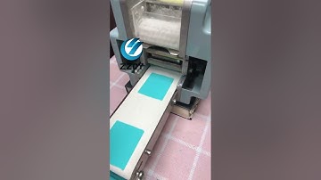 仿手工自动饺子皮机商用包子皮馄饨皮机 #dumpling wrapper machine #wonton wrapper machine