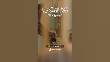 Surah Al-Ankabut 17  | Urdu-Hindi Audio Translation | سورة العنكبوت | #surah #islamdaily #quran