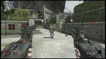 Call of Duty Black Ops-Dual Wield Pythons FT-ANGRY DOGS!!