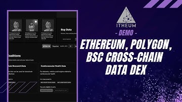 Ethereum, Polygon, BSC Cross-Chain Data DEX - Itheum Demo
