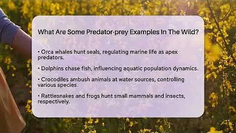 What Are Some Predator-prey Examples In The Wild? - Ecosystem Essentials