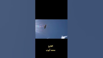 سورة الفلق تلاوة تبعث على السكينة  | القارئ محمد أيوب