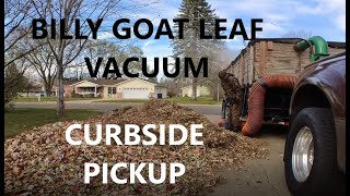 10 minute leaf pickup! LOUD! Leaf Vacuum 2023. #lawncare #leafvacuum