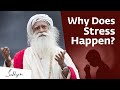 Why Does Stress Happen? | Sadhguru