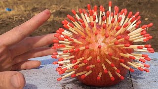 リンゴにマッチ刺して焼きリンゴ作るよ!! 【実験】　PDS