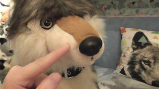 Package douglas sitting large wolf Leeloo