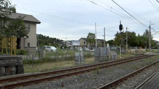 E655系 なごみ TR車組み込み お召し装備 永田駅通過 2010.9.26