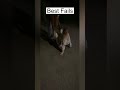 Funny Fails 😱 #funny #funnyfails #funnyvideo #comedy #fail