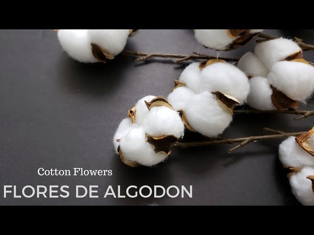 COMO HACER FLORES DE ALGODON PARA DECORACIÓN (DIY FACIL Y RAPIDO )