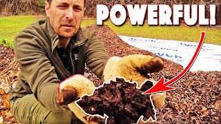 Vegetable Garden Soil Preparation & Amendments by Country Living Experience: A Homesteading Journey 2,515 views 2 months ago 13 minutes, 17 seconds
