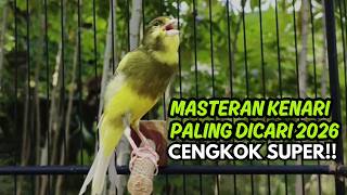Pancingan Kenari Jitu Cepat Respon! Bunyi Suara Kenari Gacor Jernih & Stabil Ngeroll Panjang!