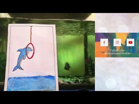 Dubai Dolphinarium | Painting Idea 4