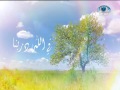 على طريق النور