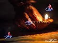 Shaam Gulabi ✨Dilwale 🎆WhatsApp status Whatsapp Status Video Download Free