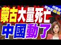 內蒙古包鋼板材廠爆炸釀10死84傷!中國國務院督辦| 蒙古大量死亡 中國動了 | 介文汲.張延廷.黃敬平深度剖析?【何橞瑢辣晚報】精華版‪@中天新聞CtiNews