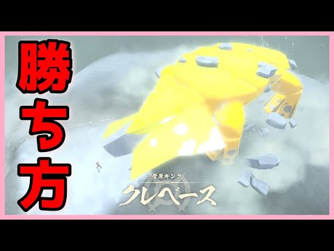 勝てない人向け キング クレベースの倒し方 ポケモン アルセウス攻略 Youtube