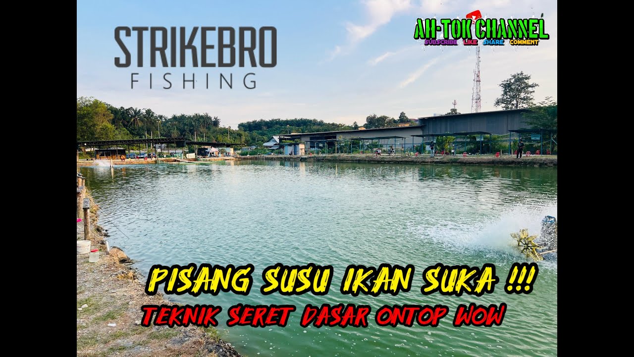 SOFT PLASTIK & UDANG MATI ❗ SEMENYIH KOLAM BARU TEKNIK BETUL PASTI KETUK 🔥 || VLOG 80