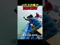 イケスの魚で釣れるもの