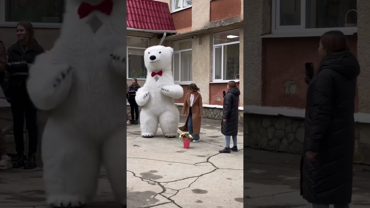 Surpriză cu Ursul Alb Gigant pentru Sabina, din partea tăticului! +373 60378001