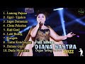 DIANA SASTRA 2022 full album | organ tarling pantura