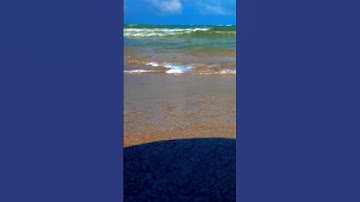 Thumbnail of The song of the sea #goa #shorts #reels #beach #beachlife #interstellar #hanszimmer #shortfeed