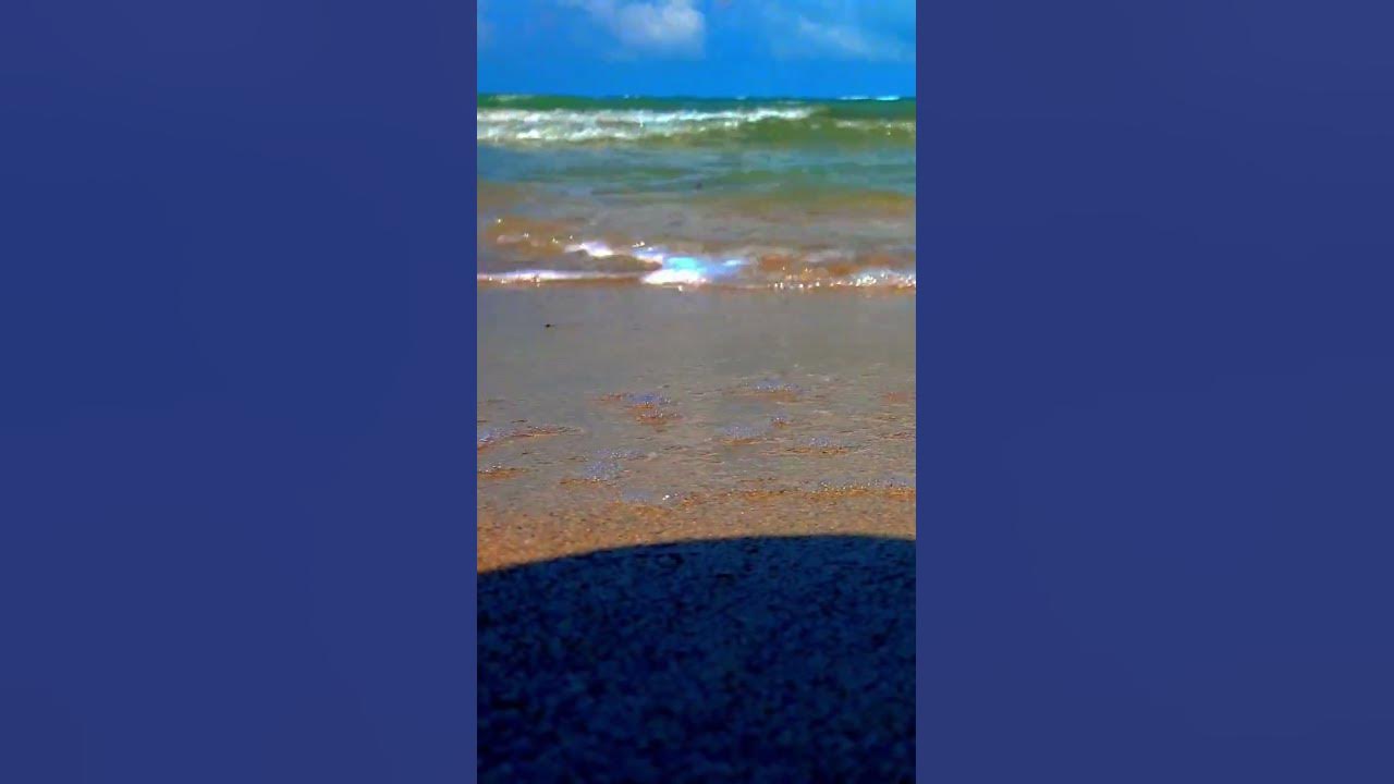 The song of the sea #goa #shorts #reels #beach #beachlife #interstellar #hanszimmer #shortfeed