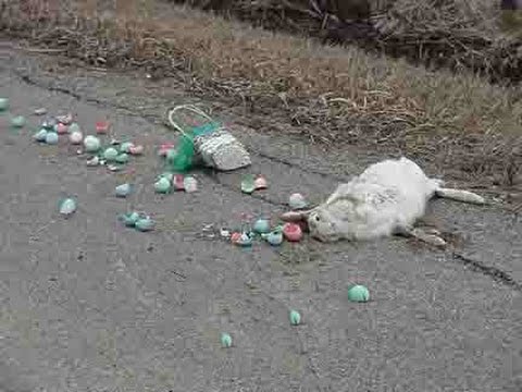 KILLING The EASTER BUNNY PRANK GONE WRONG Compilation YouTube Hqdefault