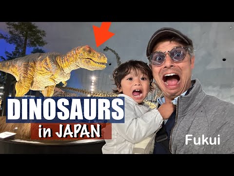 Japan's Amazing DINOSAUR Museum | Fukui (Katsuyama) - YouTube