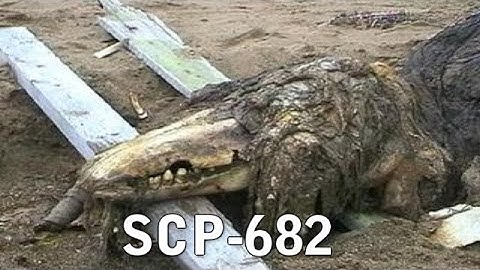 SCP 682 "Hard to Kill Reptile" Addendum 682-B
