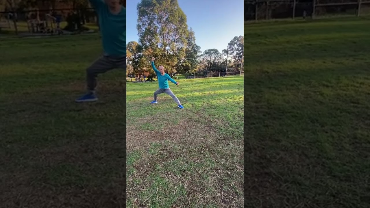 梅花桩架子第一角