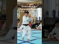チャタンヤラクーサンクー #karate #kenryudousikai #空手