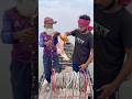 Unbelievable chicken bait for carp fish hunting #fishing #viralvideo #shorts