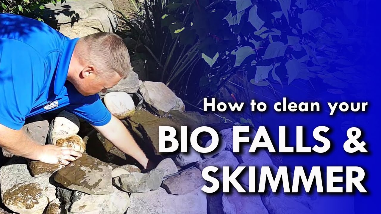 How To Clean Your Biofalls and Skimmer - YouTube