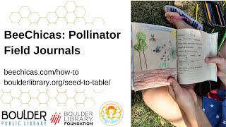 BeeChicas: Pollinator Field Journals