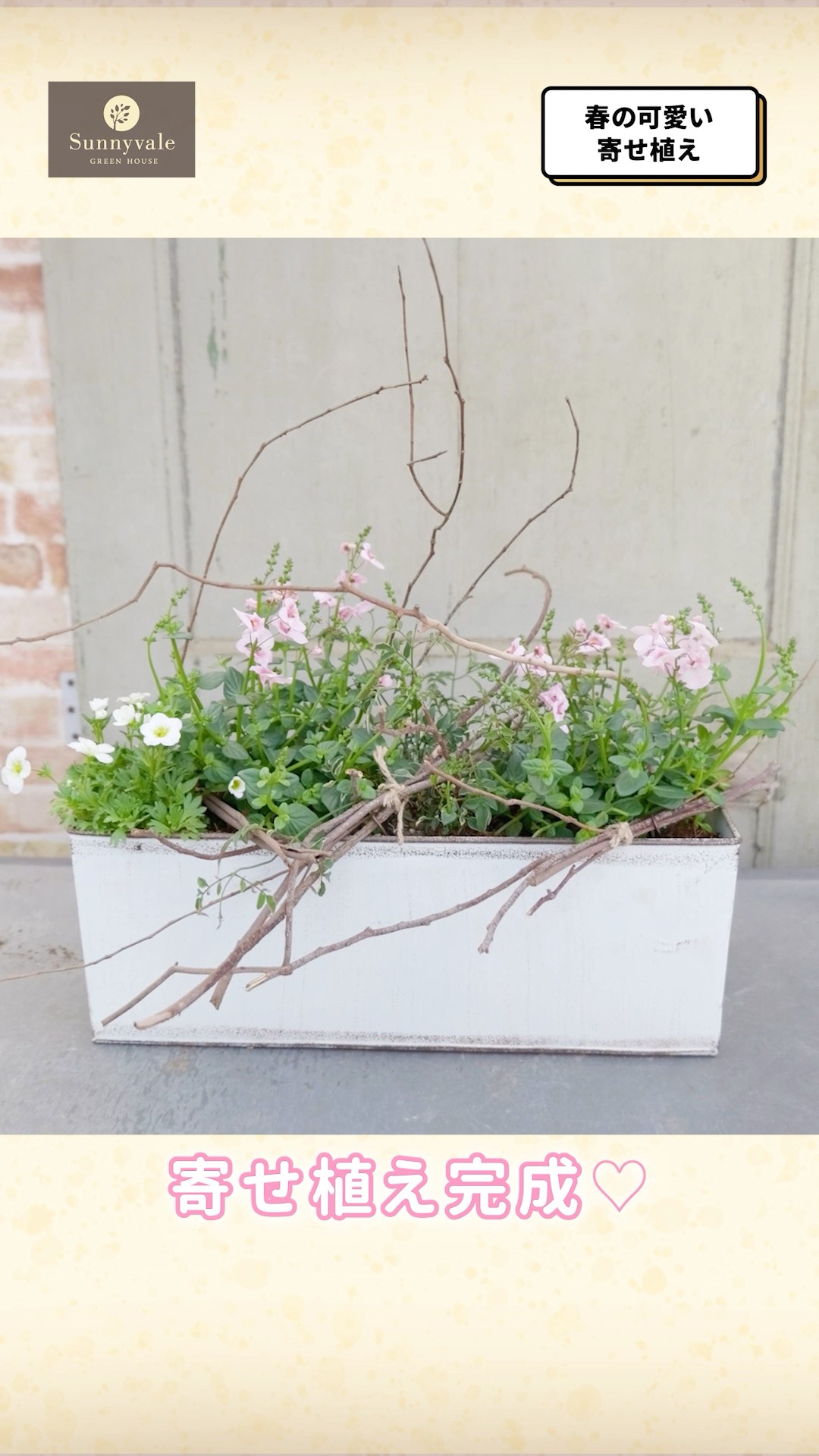 Cute flower arrangements💕] Introducing a spring arrangement with