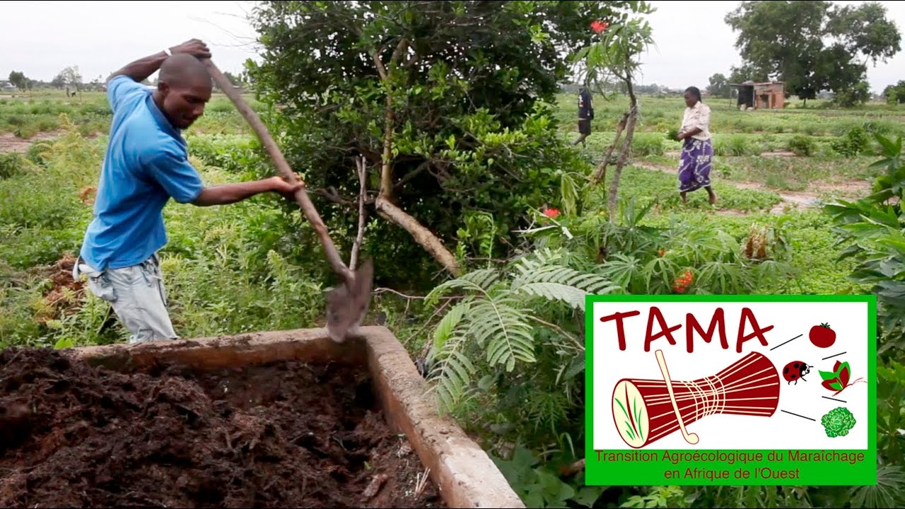 TAMA: Transition Agro-écologique du Maraîchage en Afrique de l'Ouest
