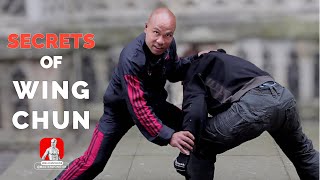 Defend Leg Grabs Wing Chun Style