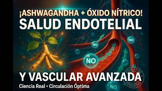 Ashwagandha y Óxido Nítrico para una Salud Endotelial y Vascular Avanzada #airmededu