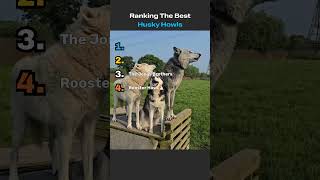 Ranking The Best Husky Howls!  #dogs #dogshorts #funnydogs #funny